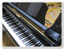 �s�A�m���\��